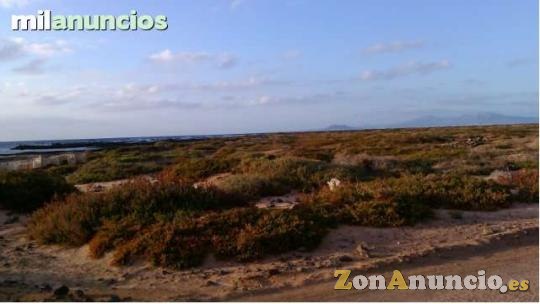 Parcelas rústicas en corralejo