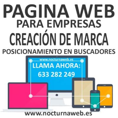 Diseño de páginas web en Madrid Vallecas profesional