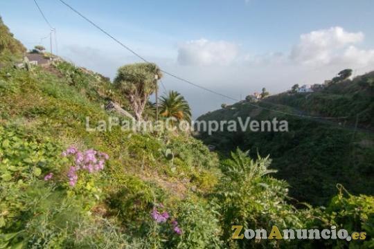 ID-398    Espectacular zona en Franceses,