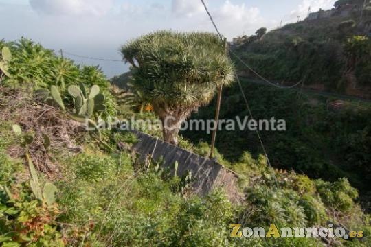 ID-398    Espectacular zona en Franceses,