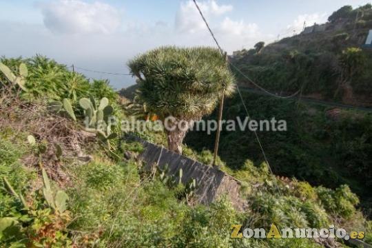 ID-398    Espectacular zona en Franceses,