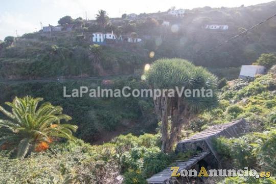 ID-398    Espectacular zona en Franceses,