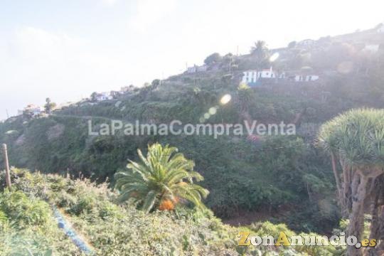 ID-398    Espectacular zona en Franceses,