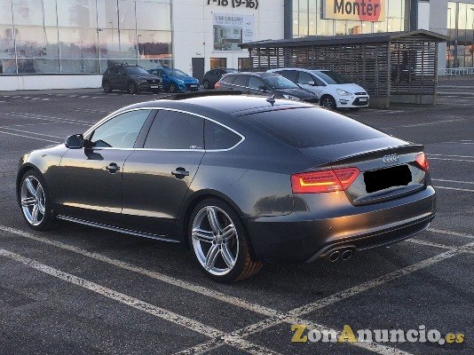 teihapeter@gmail.com