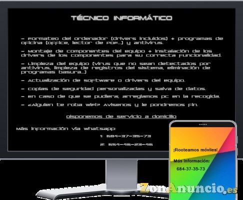 Técnico Informático