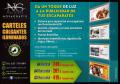 Venta Otros Servicios: Carteles colgantes iluminados