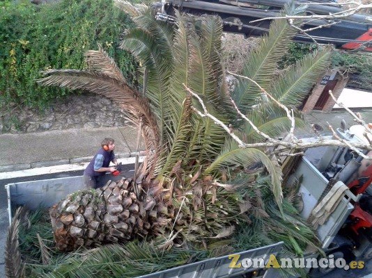 Jardineria KIMA Lorezaintza