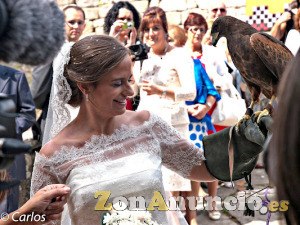 ESPECTÁCULOS CON AVES. VARIAS PROVINCIAS.