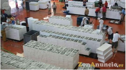 sl import export pescados