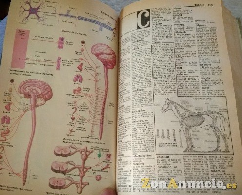 Diccionarios Ilustrado de la Lengua Española