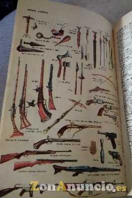 Diccionarios Ilustrado de la Lengua Española