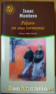 Pájaro en una Tormenta de ISAAC MONTERO