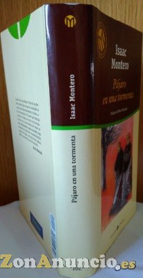 Pájaro en una Tormenta de ISAAC MONTERO