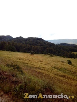 Finca en el Bages