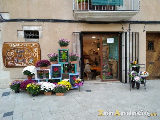 Plantas y Flores a domicilio