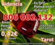 Se ofrece Otros Servicios: Astrologia,tarot barato 3euros