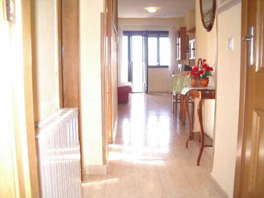 Alquila a estudiantes durante el curso universitario