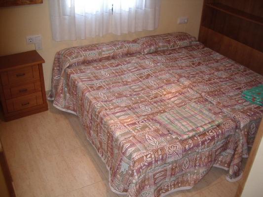 Alquila a estudiantes durante el curso universitario