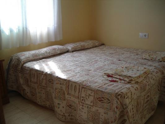 Alquila a estudiantes durante el curso universitario