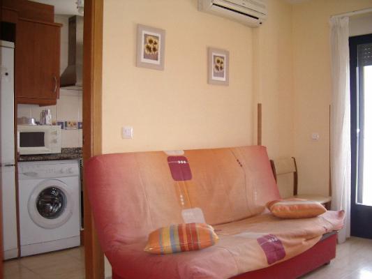 Alquila a estudiantes durante el curso universitario