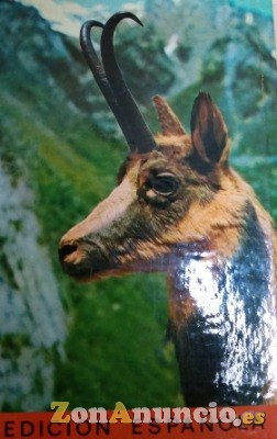 “EL PARQUE NACIONAL DE ORDESA”