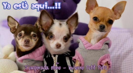 Ropa de invierno para cachorritos perros toy miniatura
