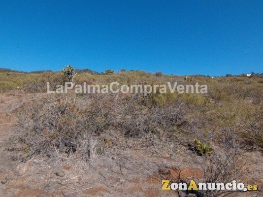 ID-424  Gran terreno en la zona noroeste de la Palma