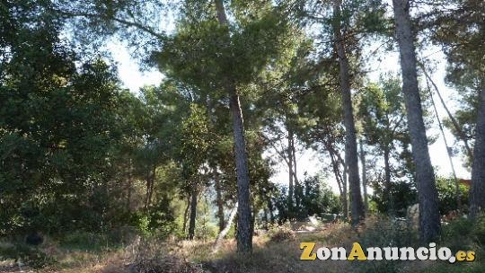 Parcela 1500 m agua y luz