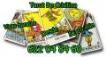 Se ofrece Otros Servicios: Tarot economico visa 5€ 10 min 622 04 84 60