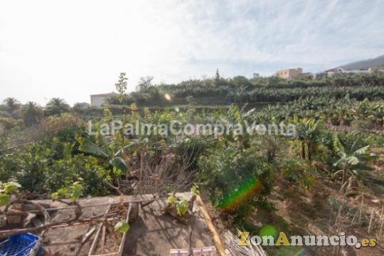 ID-401    Si te gustan las casas antiguas