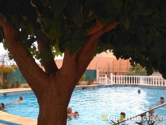 Todos los servicios y la mejor ubicación de la localidad