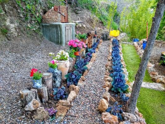 CHALET CON FINCA DE OLIVOS