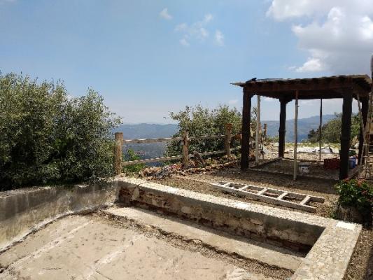 CHALET CON FINCA DE OLIVOS