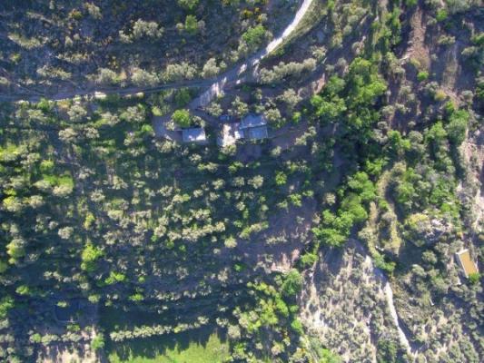 CHALET CON FINCA DE OLIVOS