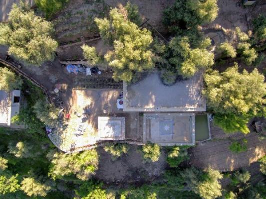 CHALET CON FINCA DE OLIVOS