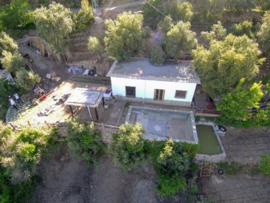 CHALET CON FINCA DE OLIVOS
