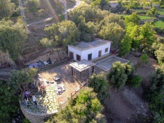 CHALET CON FINCA DE OLIVOS