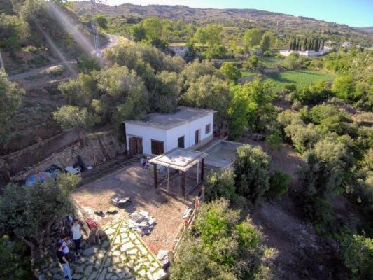 CHALET CON FINCA DE OLIVOS