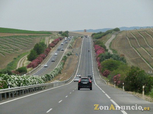 Estoy editando Fotos y Videos