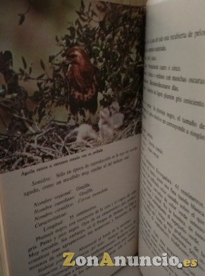 ¨GUIA DEL PARQUE NACIONAL DE DOÑANA¨