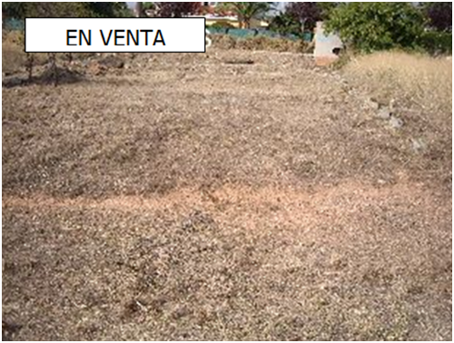 Vendo terreno en Jardines de Masias