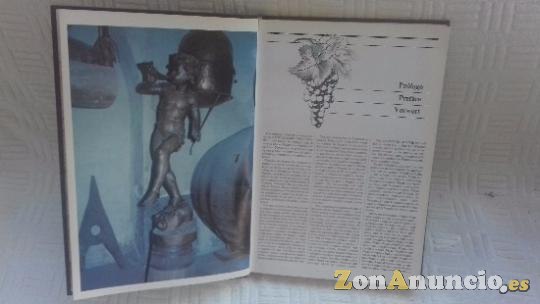 Anuario del vino español