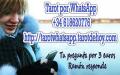 Venta Otros Servicios: Tarot por whatsapp  por 3 euros Ramon responde