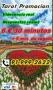 Venta Otros Servicios: Tarot de la pareja a 6 euros 35 min