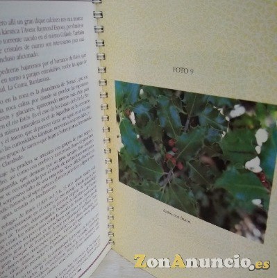 “ITINERARIOS POR ARAGÓN”