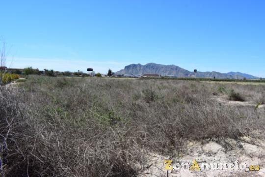 Terreno Rústico Agricola