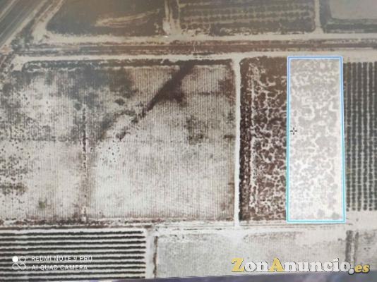 Terreno Rústico Agricola