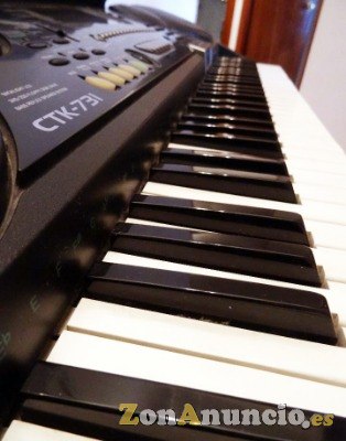 PIANO MUY COMPLETO CTK-731